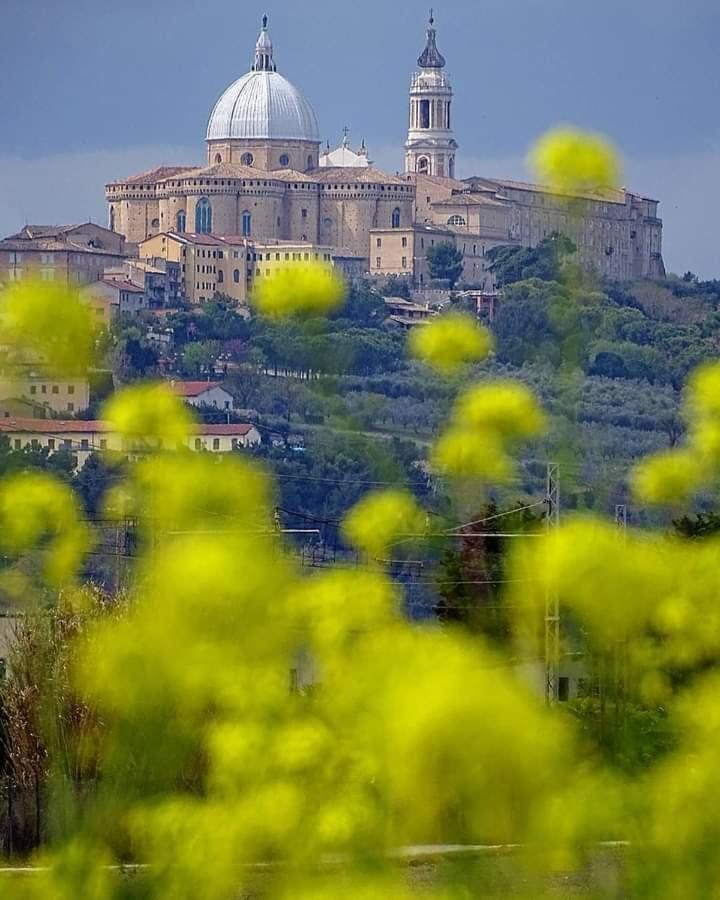 Villetta Con Giardino E Parcheggio Coperto Loreto Exterior foto